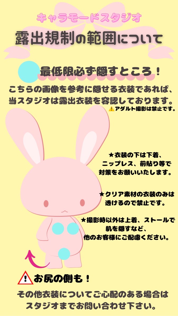 露出度の参考例